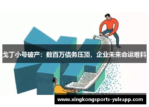 戈丁小号破产：数百万债务压顶，企业未来命运难料