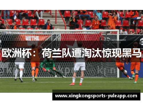 欧洲杯：荷兰队遭淘汰惊现黑马