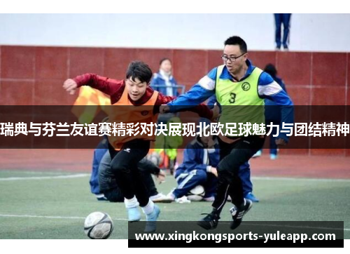 瑞典与芬兰友谊赛精彩对决展现北欧足球魅力与团结精神